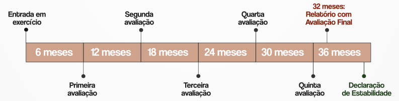 Linha do tempo de avaliação do Estágio Probatório