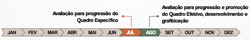Linha do tempo anual com a periodicidade das avaliações de desempenho