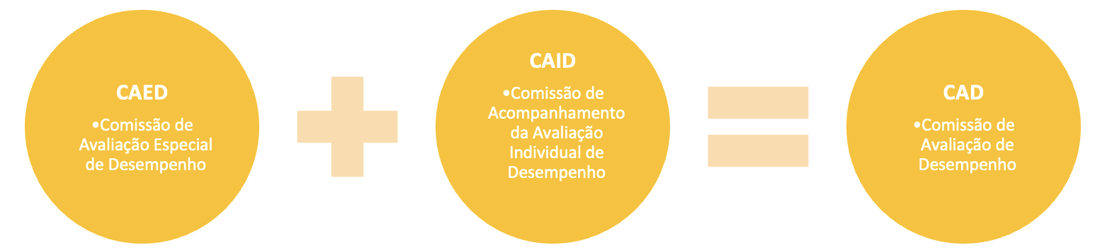 Gráfico sobre a composição da CAIID