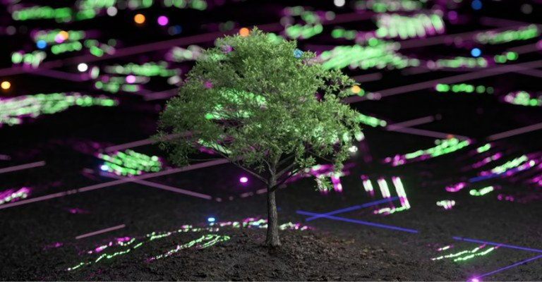 A imagem remete a um contraste entre um elemento natural (árvore) e o ambiente tecnológico que a rodeia.