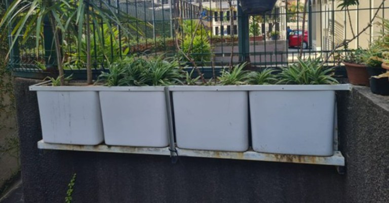 Anatel CE, Sustentabilidade, detalhe de projeto_3