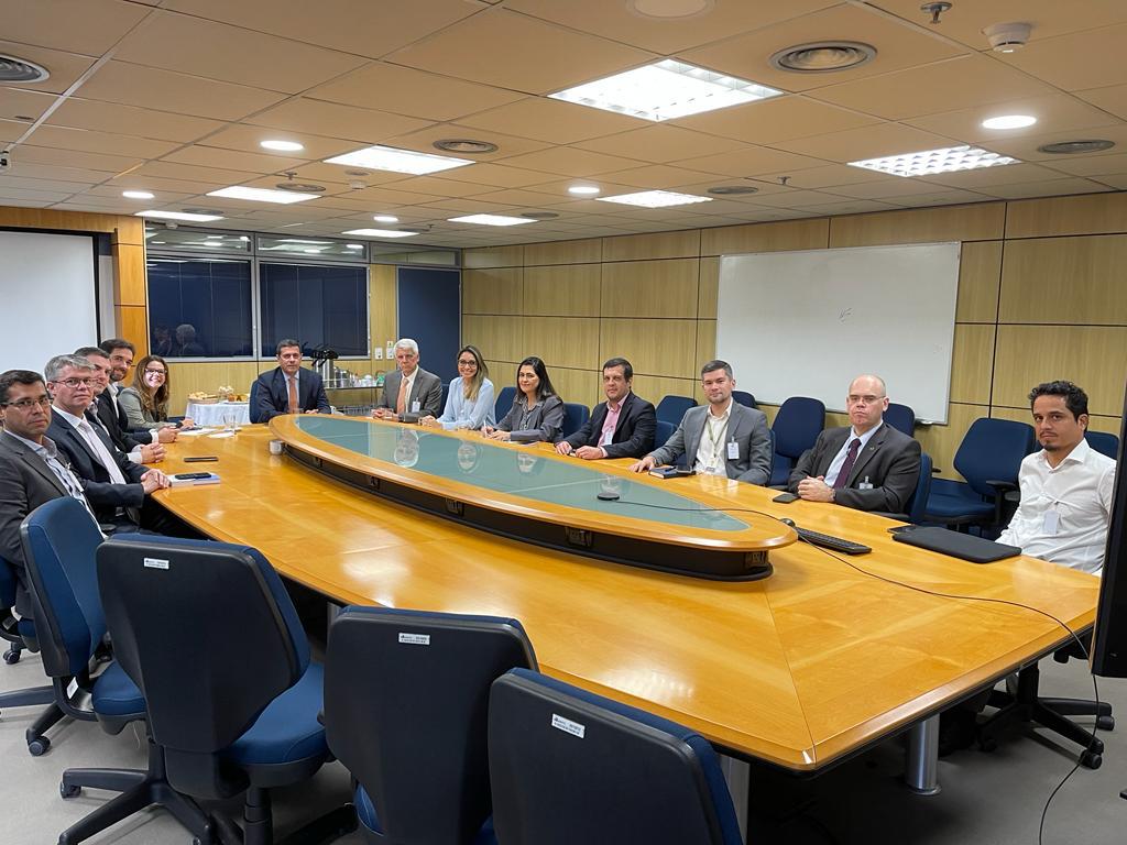 Equipes da Agência Nacional de Telecomunicações (Anatel) e da Agência Nacional de Energia Elétrica (Aneel)