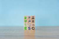 Anatel e BID dão início a projeto para promoção da Agenda ESG no setor de telecomunicações