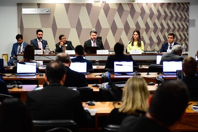 Conselheira Cristiana Camarate durante audiência (Foto: Andressa Anholete/Agência Senado)