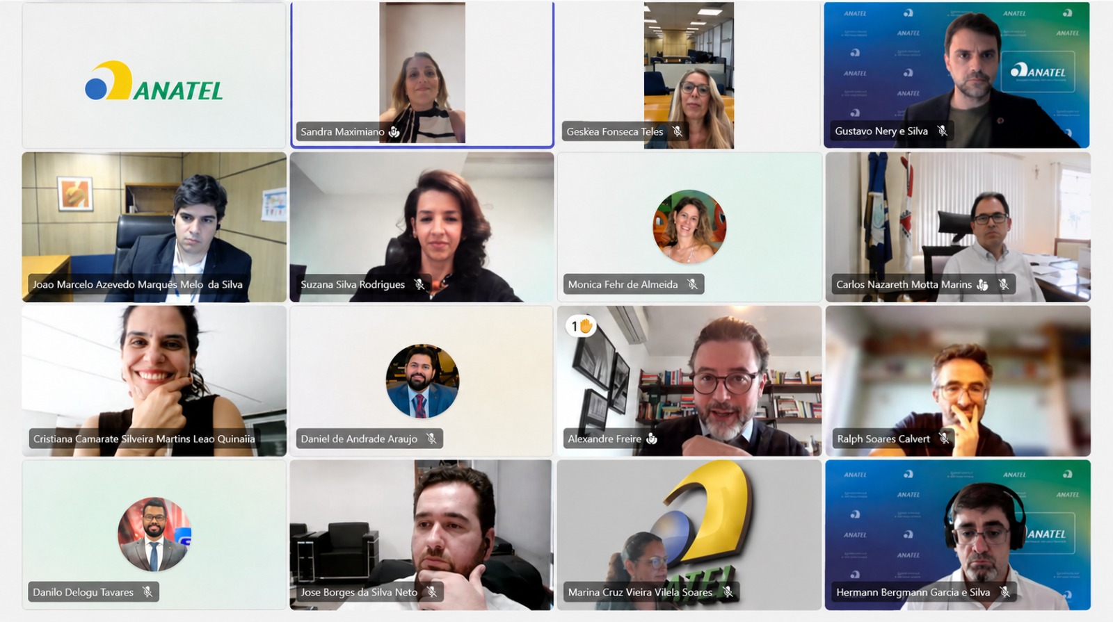 Print screen de tela de computador mostrando os participantes do webinário