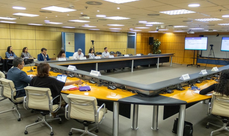 Imagem mostra sala de reunião em que estão presentes os integrantes do Conselho Consultivo