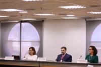 Conselho Consultivo realiza reunião em Brasília