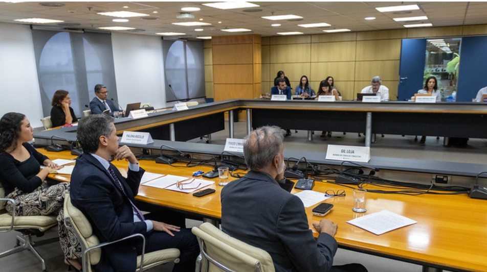 imagem mostra integrantes do conselho consultivo reunidos em sala ampla