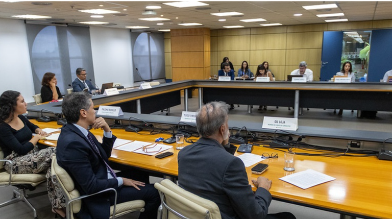 imagem mostra integrantes do conselho consultivo reunidos em sala ampla