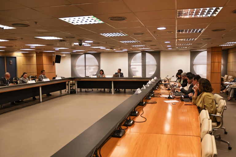 imagem mostra sala ampla com bancadas nas quais estão sentados os conselheiros consultivos