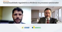 Soluções e desafios na regulação foram tema de workshop promovido pelo Ceadi