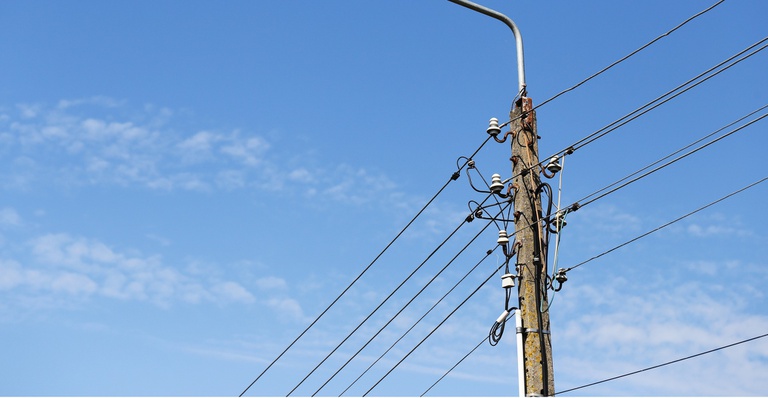 Imagem de poste ocupado por diversos dos.