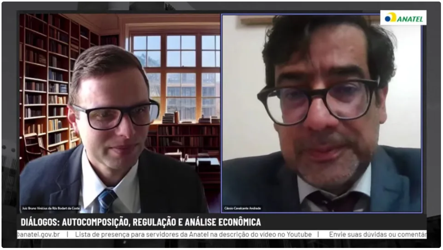 Autocomposição, Regulação e Análise Econômica