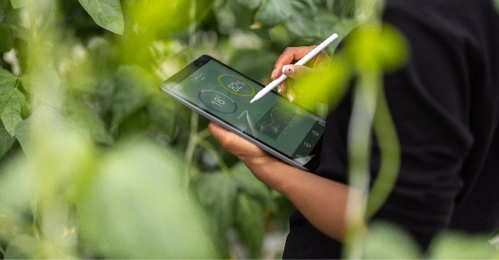 Anatel e UIT promovem webinário sobre levantamento de indicadores climáticos no setor de tecnologia da informação e comunicação