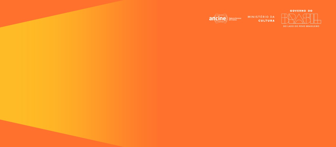 As contribuições dos grupos serão consideradas pela ANCINE para o desenvolvimento de políticas públicas de acessibilidade no audiovisual