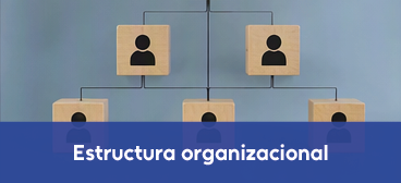 portal-es_Estructura organizacional