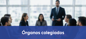 portal-es_Órganos colegiados