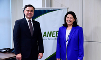 ANEEL recebe a Embaixadora da Espanha no Brasil