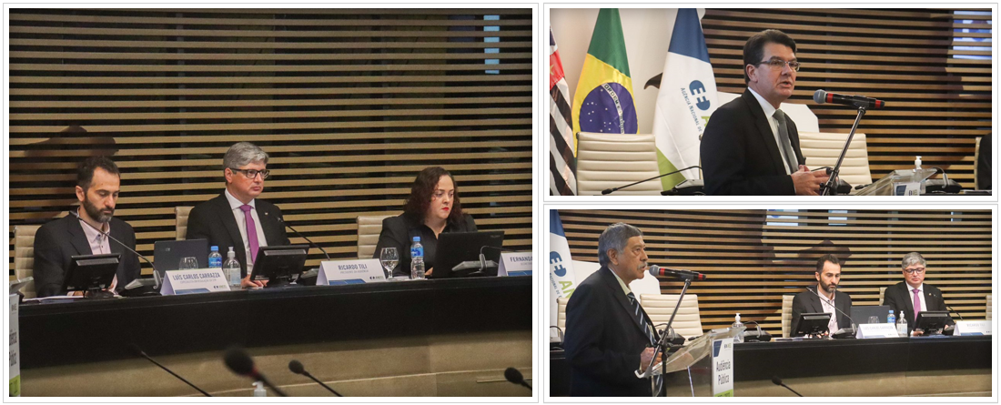 ANEEL-apresenta-revisão-tarifária-da-Enel-SP-em-Audiência-Pública-FT