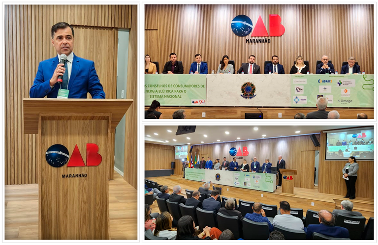 ANEEL participa de workshop sobre o papel dos conselhos de consumidores de energia