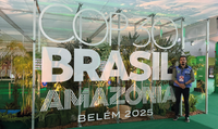 ANEEL garante excelência no serviço de energia elétrica da COP30