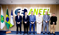 ANEEL recebe dirigentes da Autoridade Nacional de Segurança Nuclear