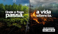 Campanha educativa da ANEEL para evitar incêndios próximos a linhas de transmissão inicia nesta quarta-feira (4/6)