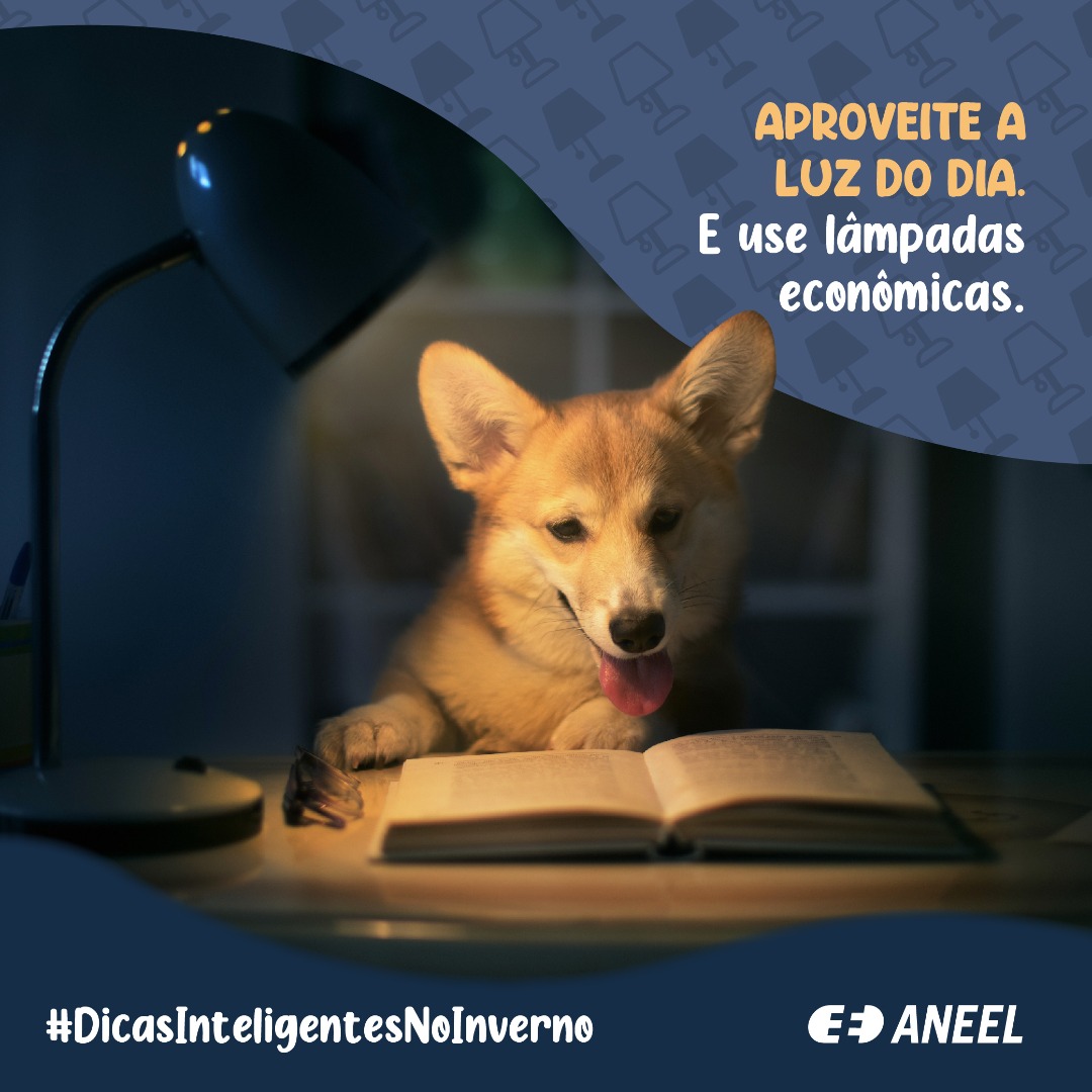 2022-01-28-card-dicas-de-inverno-iluminacao.jpg