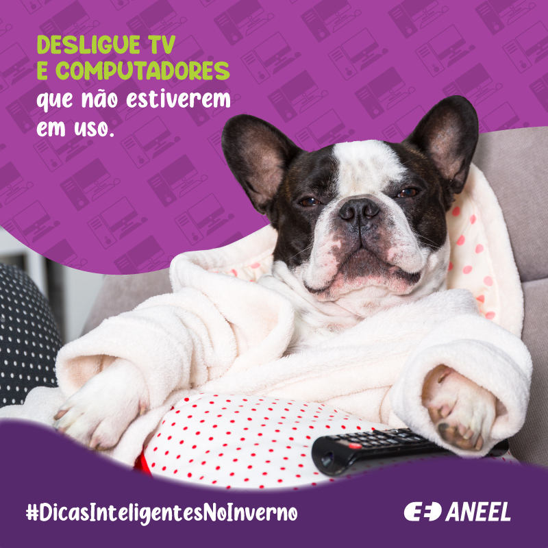 2022-01-28-card-dicas-de-inverno-televisoes-e-computadores.jpg