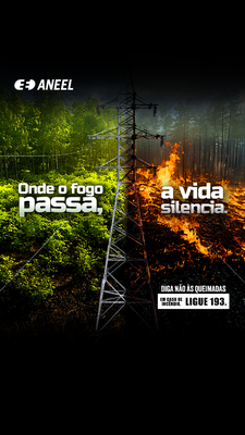 2025-06-04_Campanha de prevenção de incêndios 2025-Card-1 (Reels-Stories)