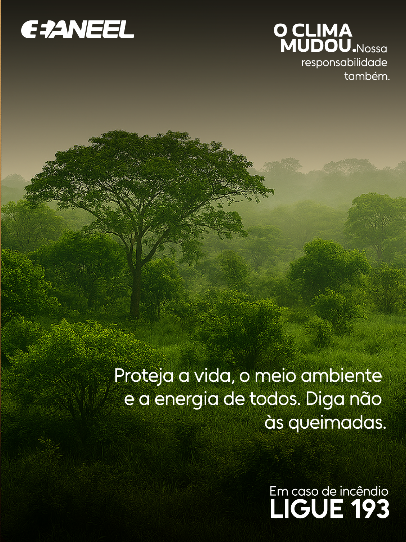 2026-06-30_Campanha-de-prevenção-de-incêndios_Card-6