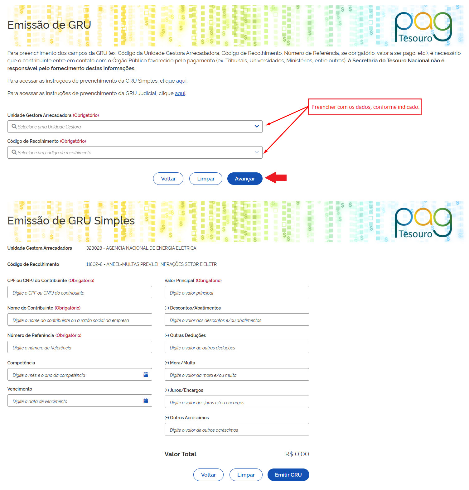 Instruções para emissão de GRU
