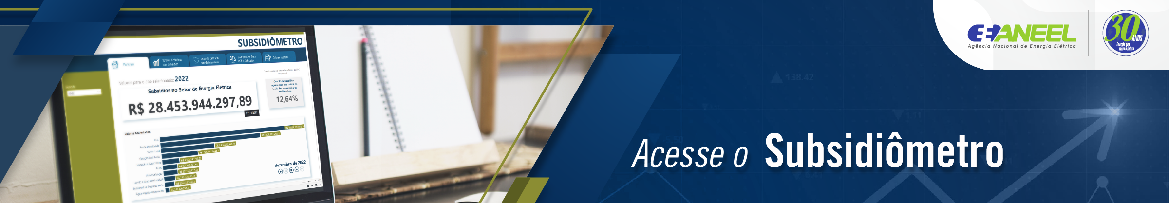 Imagem com gráfico representativo do painel de business intelligence Subsidiômetro