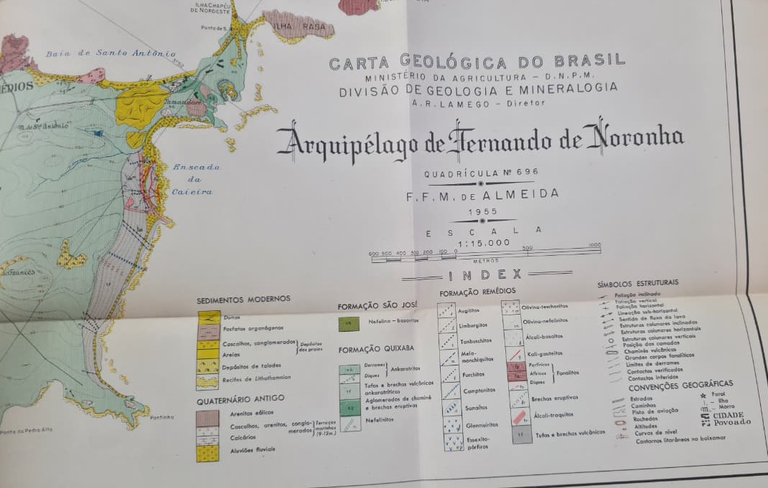 imagem (6) (1).png
