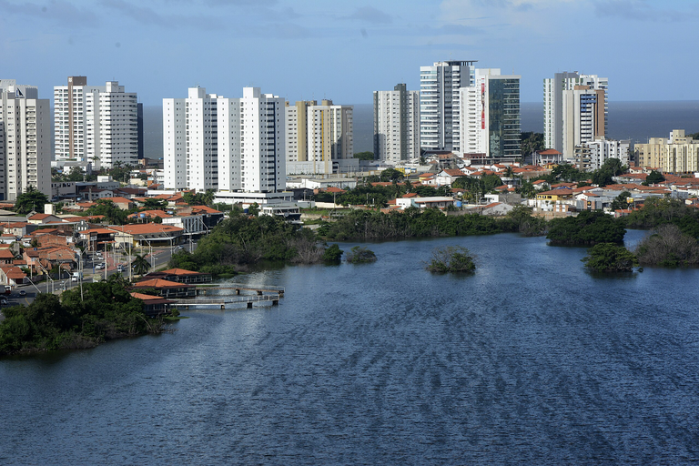 imagem (41).png