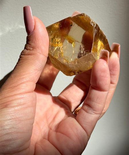 WhatsApp Image 2025-06-09 at 10.11.17.jpeg