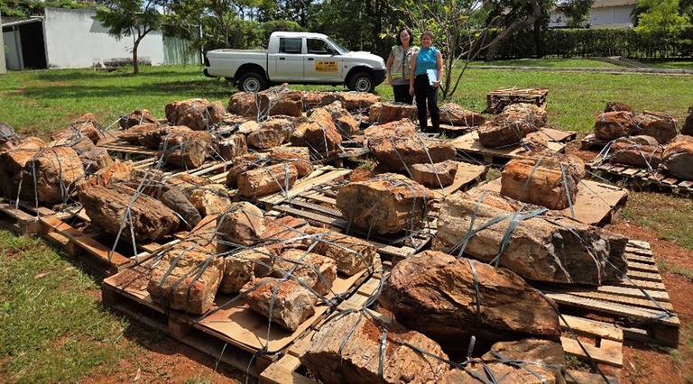 material fósseis Paraguai.jpg