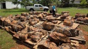 material fósseis Paraguai.jpg