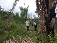 Presença em campo é uma atividade complexa que complementa a análise documental e permite verificar se os empreendimentos de mineração cumprem a legislação e desenvolvem suas atividades de forma responsável