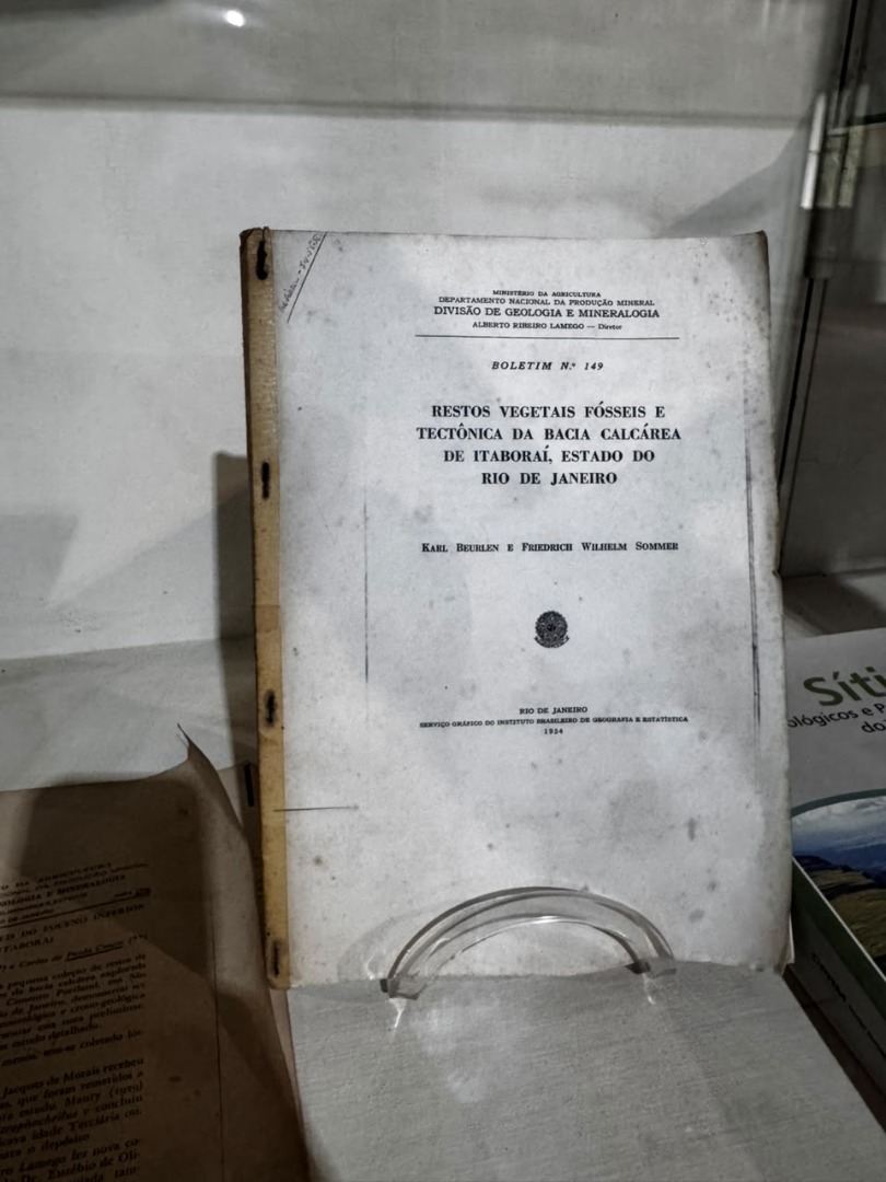 livro dnpm restos vegetais fosseis e tectonica da bacia calcaria