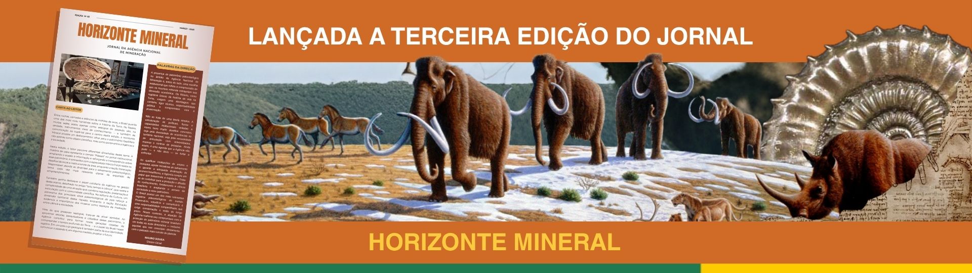 favorito (1).jpg.jpeg