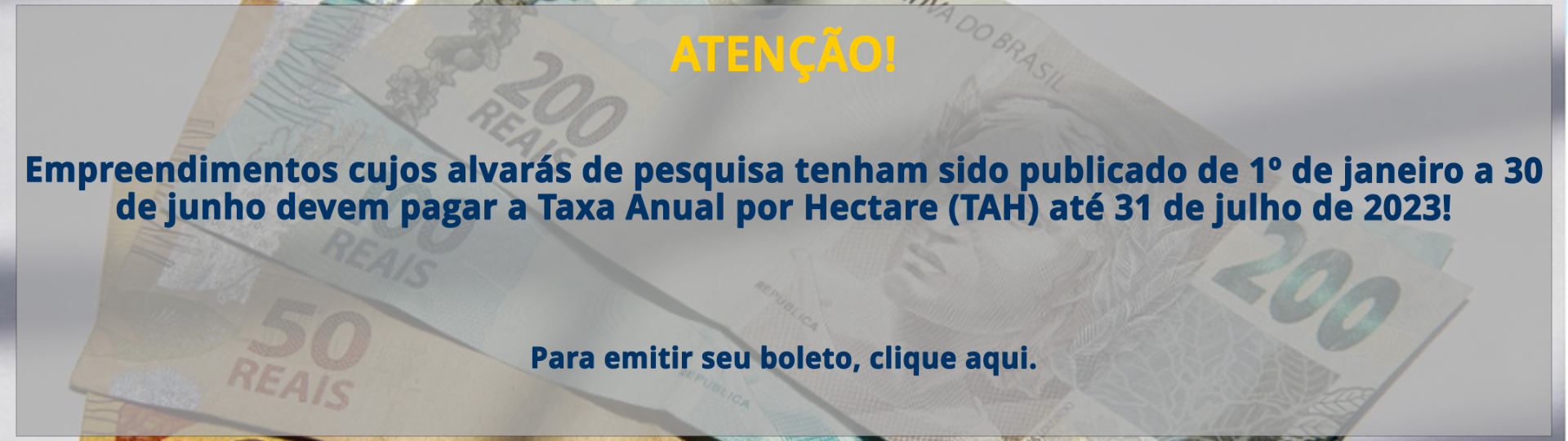 MicrosoftTeams-image (1).png