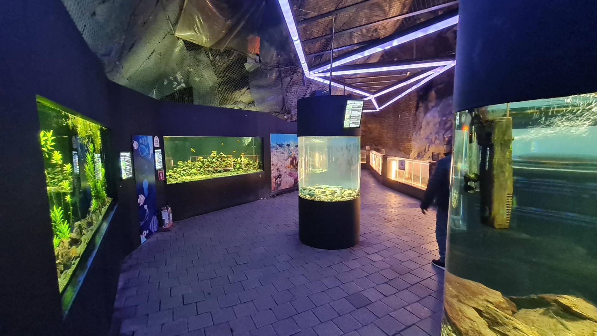 shared image (1).jpg