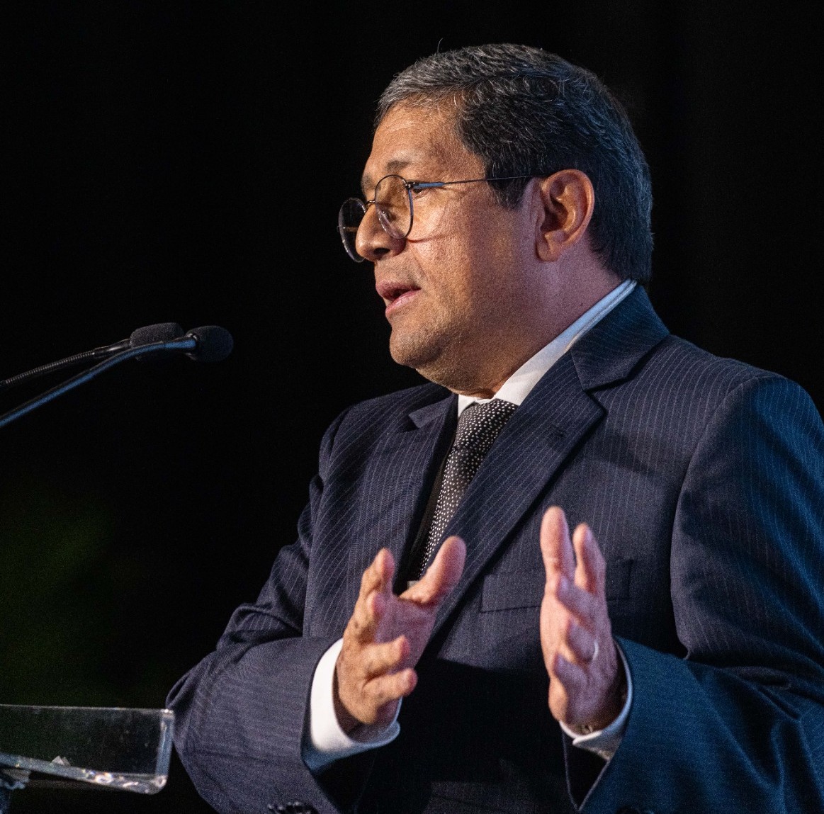 Dr. Mauro palestra no fórum Minério Verde