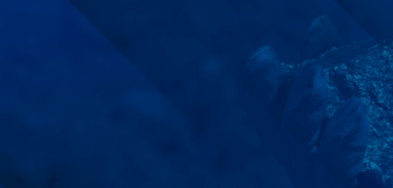 A Agência Nacional de Mineração quer ouvir a sua opinião. Participe!