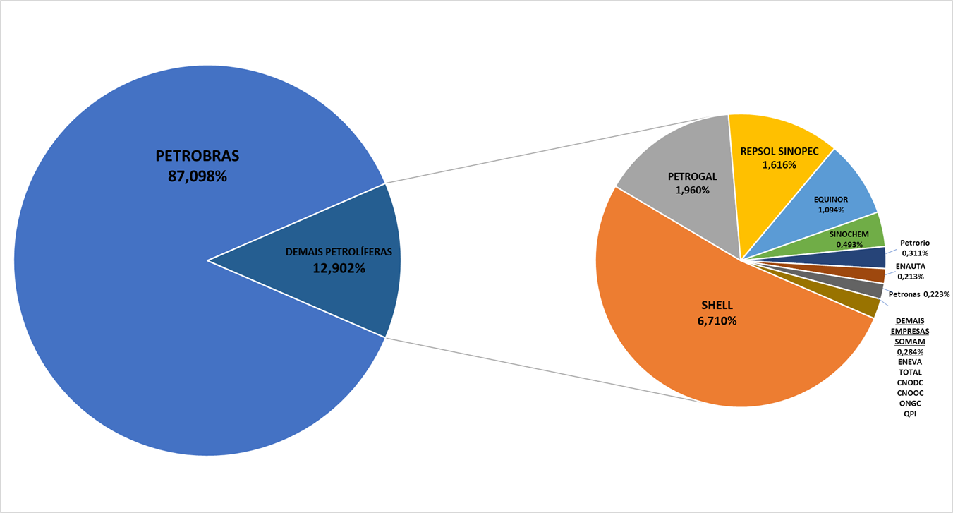 Gráfico Pizza - Atualizado em 23/03/2021