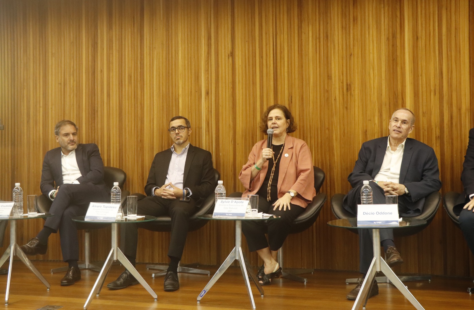 1º Workshop do Programa de Redução da Concentração no Mercado de Gás Natural