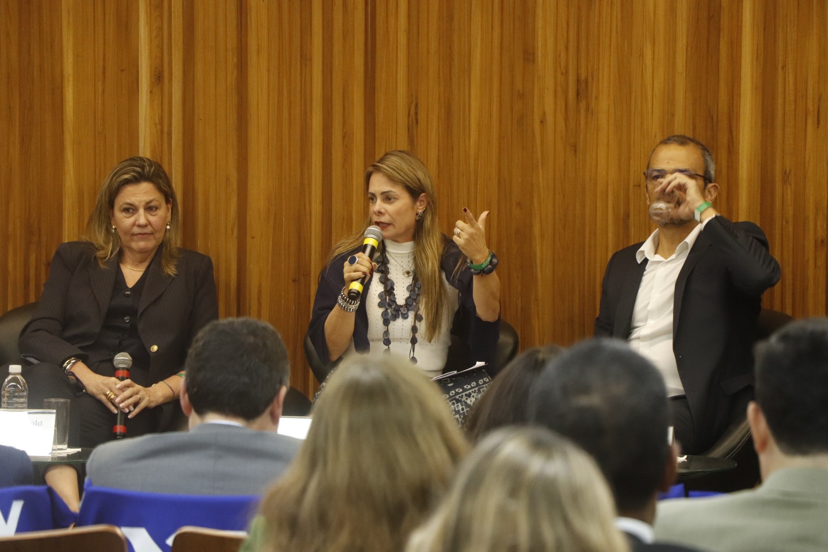 1º Workshop do Programa de Redução da Concentração no Mercado de Gás Natural