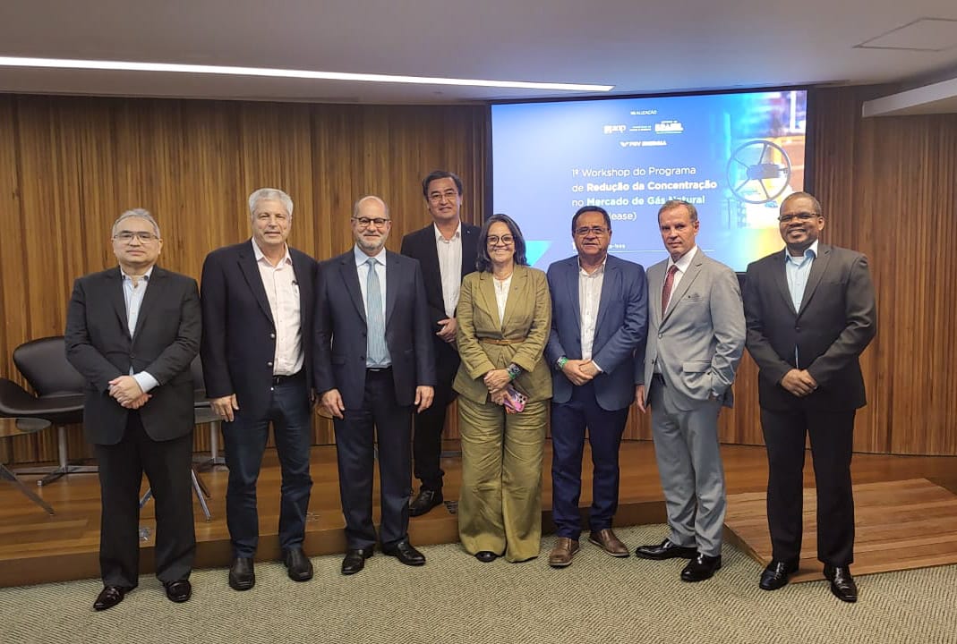 1º Workshop do Programa de Redução da Concentração no Mercado de Gás Natural