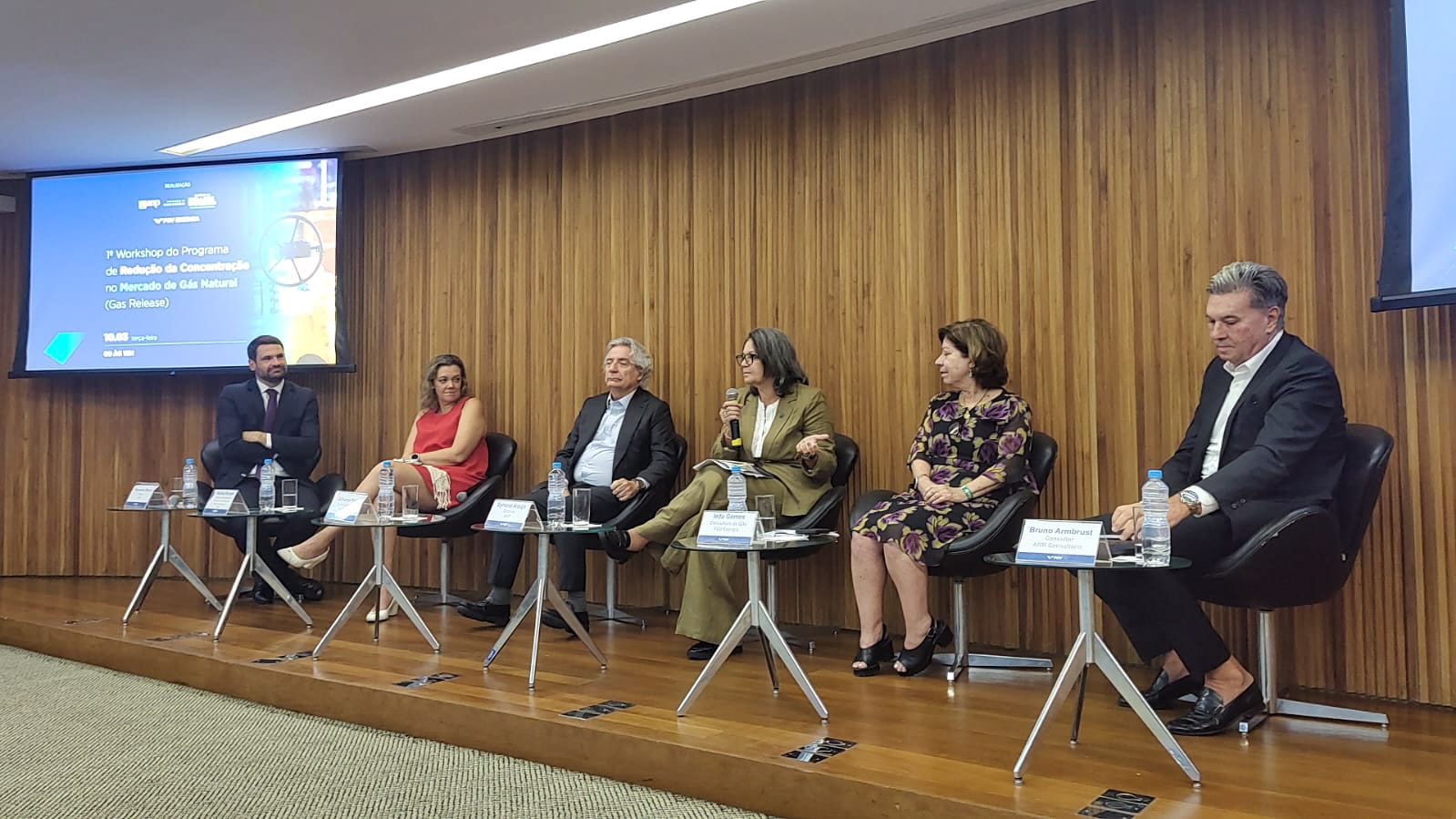 1º Workshop do Programa de Redução da Concentração no Mercado de Gás Natural